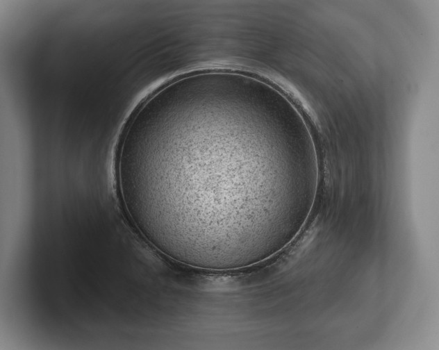 X0000102461230200808151400