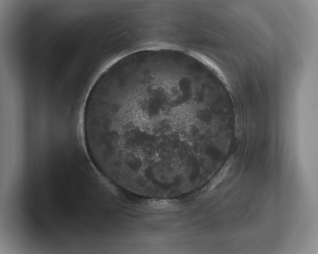 X0000102461231200808151400