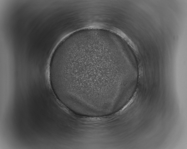 X0000102461232200808151400