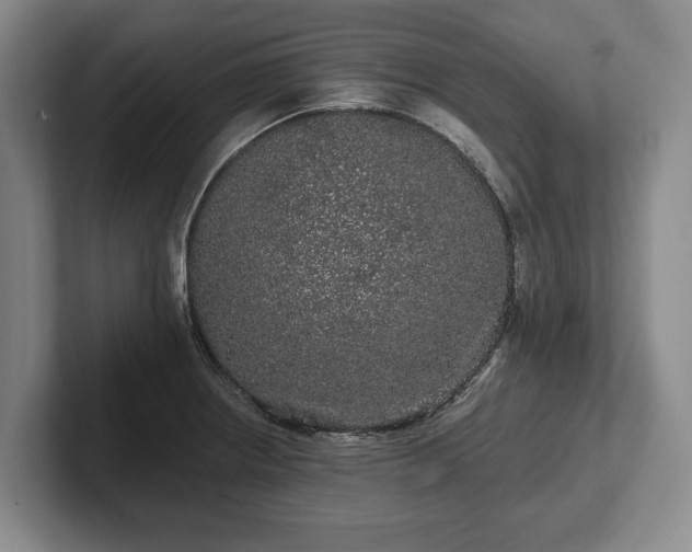 X0000102461234200808151400