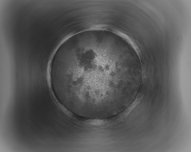 X0000102461235200808151400