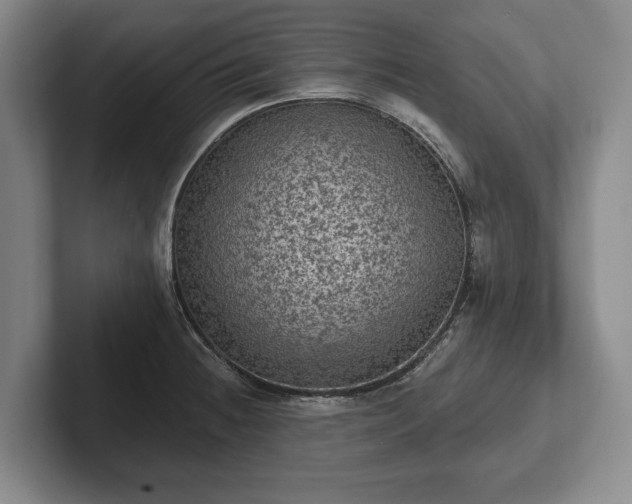 X0000102461236200808151400