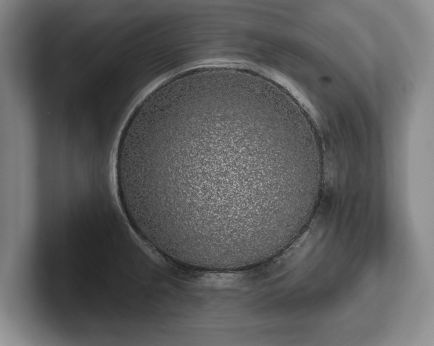 X0000102461237200808151400