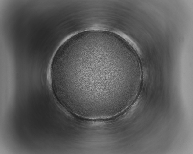 X0000102461238200808151400