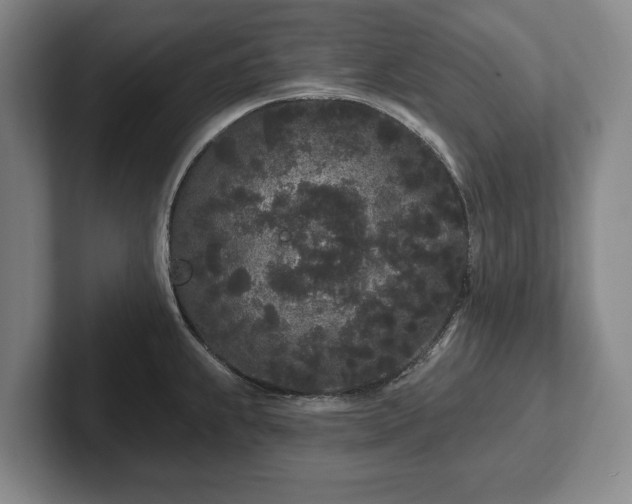 X0000102461239200808151401