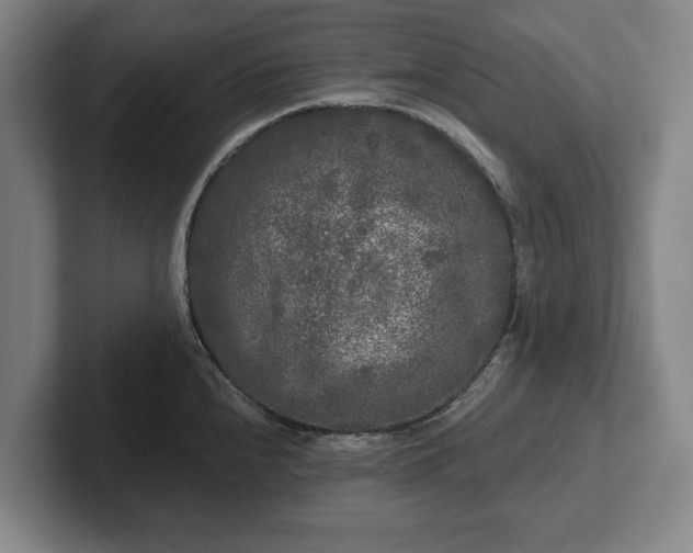 X0000102461240200808151401