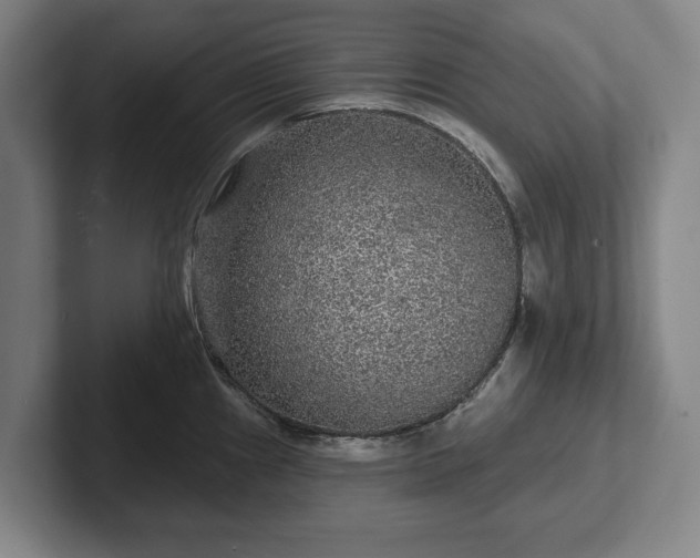 X0000102461241200808151401