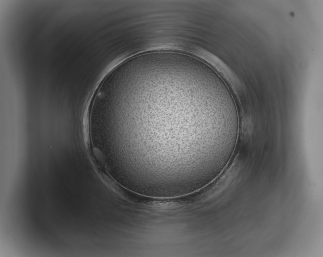 X0000102461242200808151401