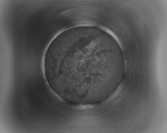 X0000102461243200808151401