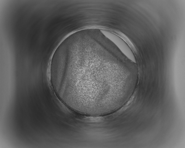 X0000102461244200808151401