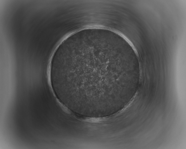 X0000102461245200808151401