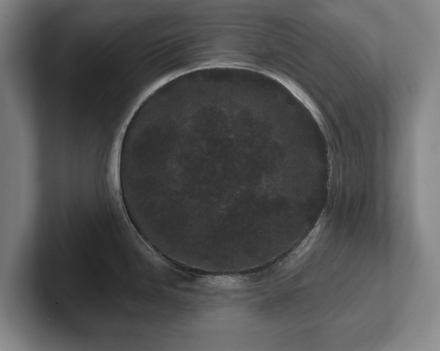 X0000102461246200808151401