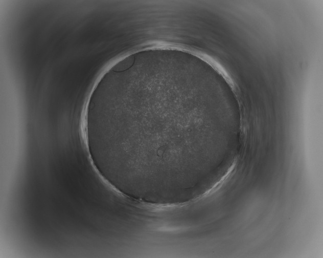 X0000102461247200808151401