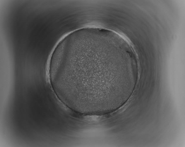 X0000102461248200808151401