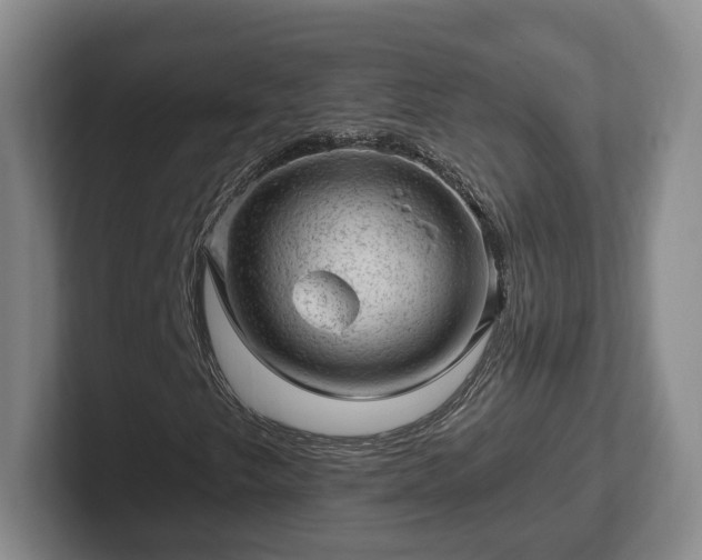 X0000102461249200808151400