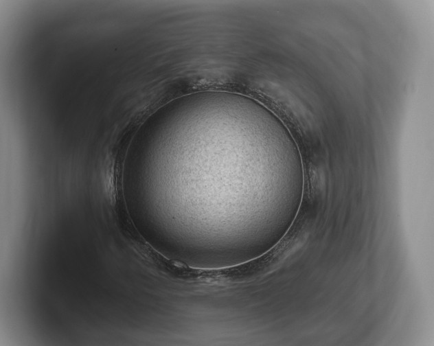 X0000102461250200808151400