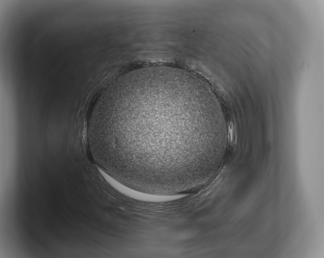 X0000102461251200808151400