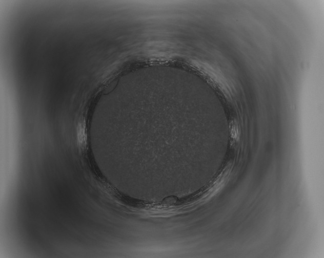 X0000102461252200808151400