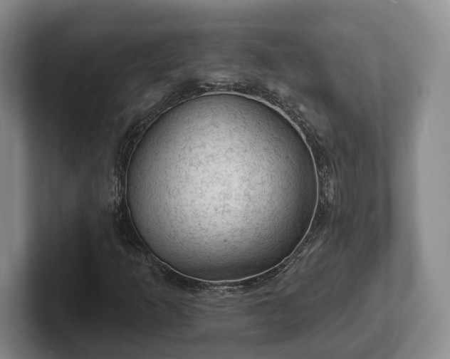 X0000102461253200808151400