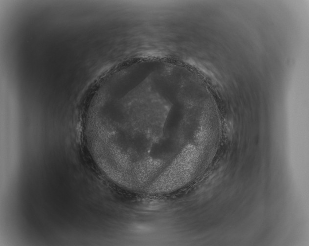 X0000102461254200808151400