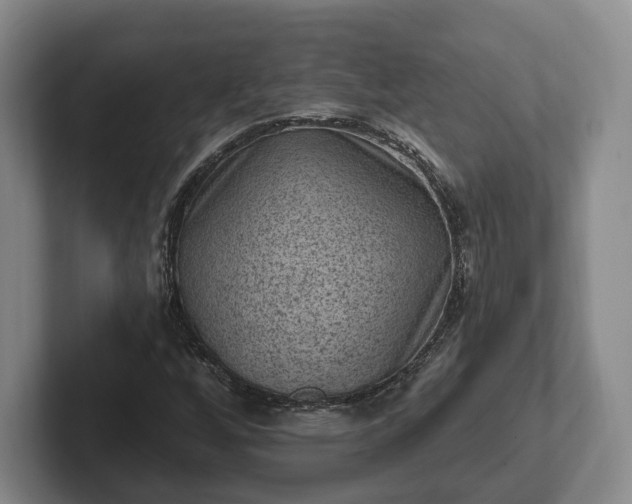 X0000102461256200808151400