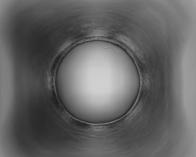 X0000102461258200808151400