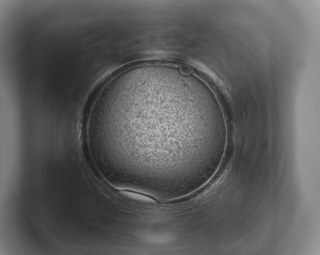 X0000102461259200808151400