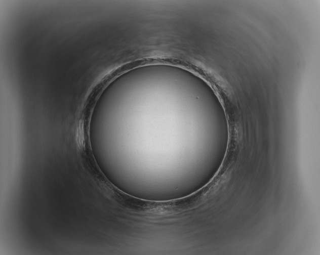 X0000102461262200808151400