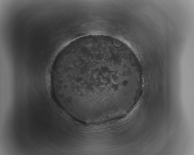 X0000102461263200808151400