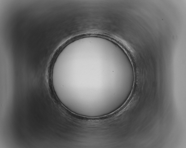 X0000102461264200808151400