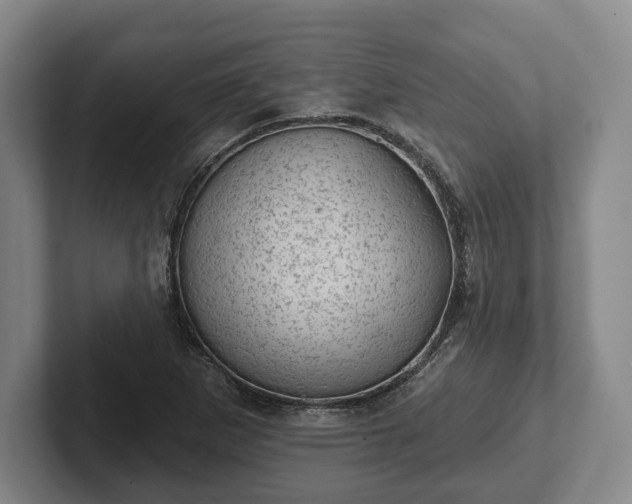 X0000102461265200808151400