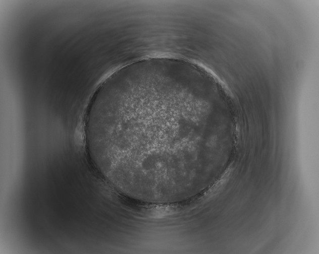 X0000102461266200808151400