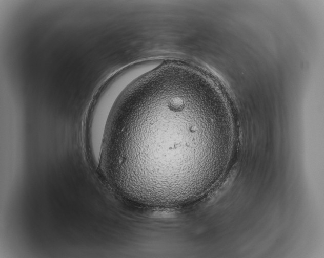 X0000102461267200808151400