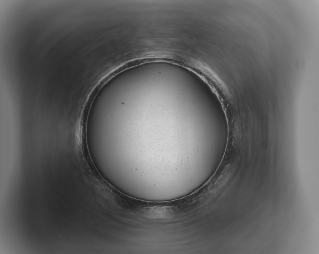 X0000102461268200808151400