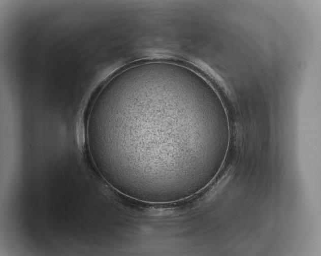 X0000102461269200808151400