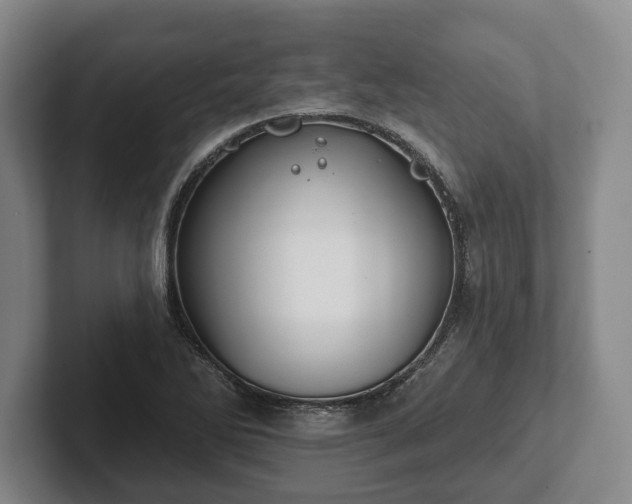 X0000102461270200808151400