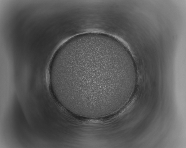 X0000102461271200808151400