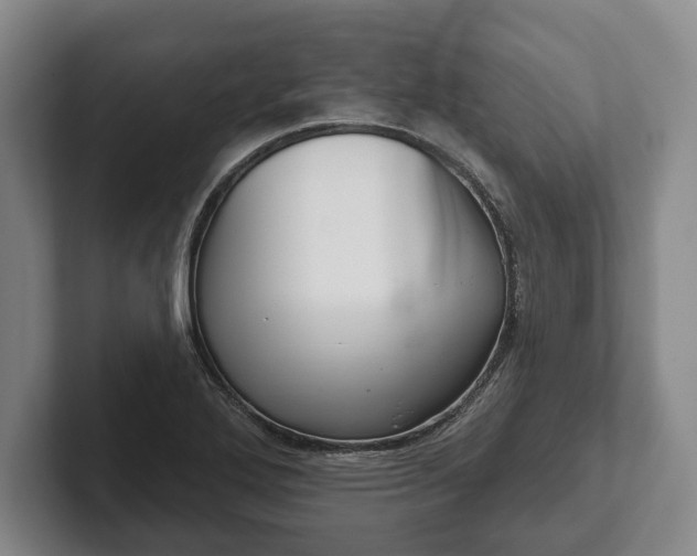 X0000102461272200808151400