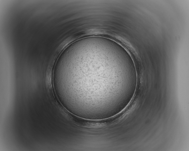 X0000102461273200808151400