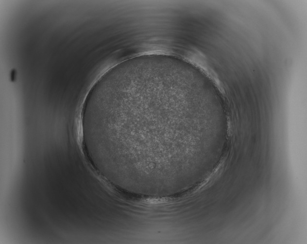 X0000102461274200808151400