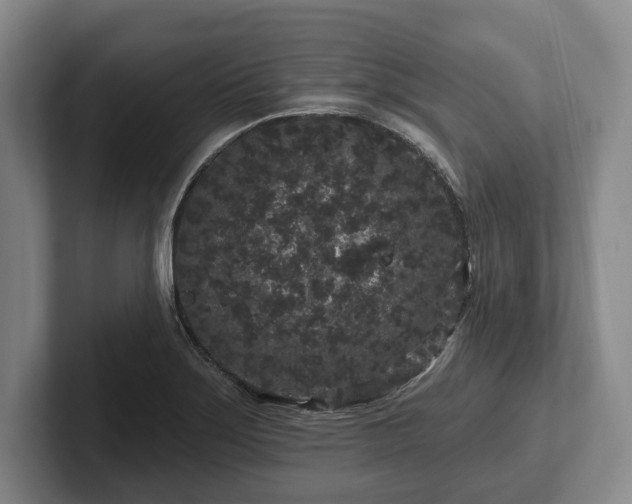 X0000102461275200808151400