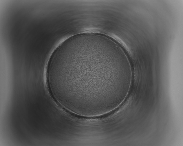 X0000102461277200808151400