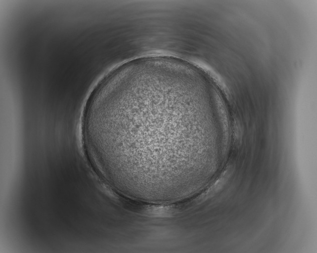 X0000102461278200808151400