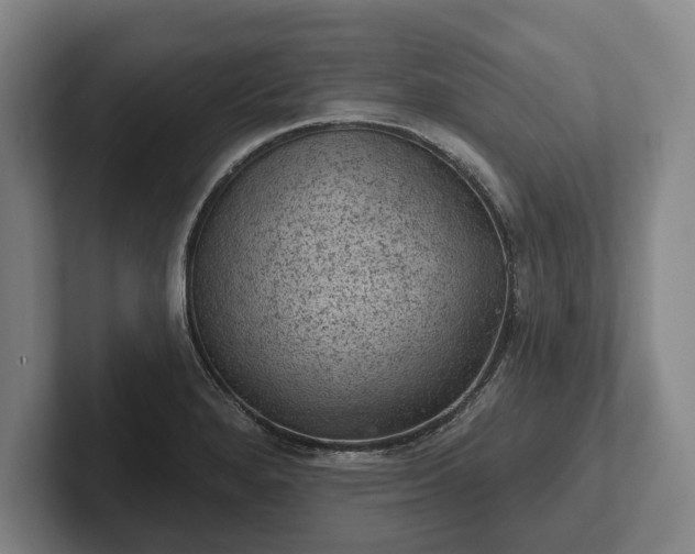 X0000102461280200808151400