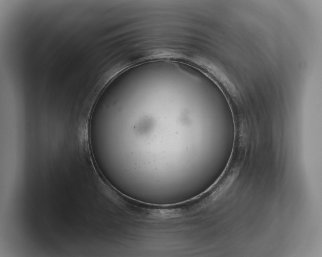 X0000102461281200808151400