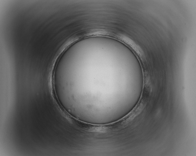 X0000102461282200808151400