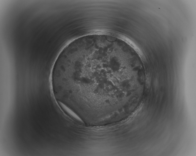 X0000102461283200808151359