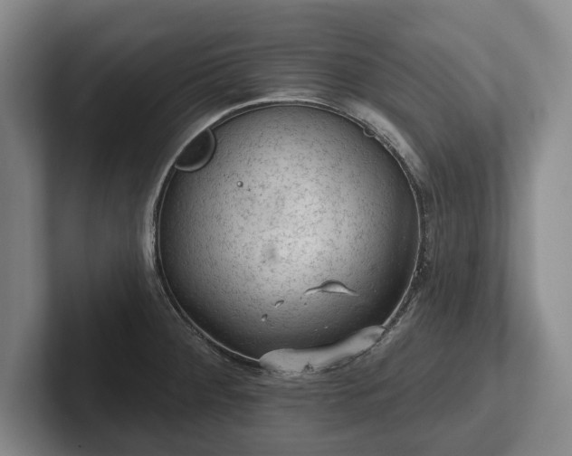 X0000102461284200808151359