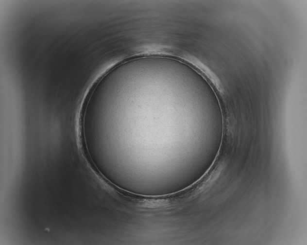 X0000102461285200808151359