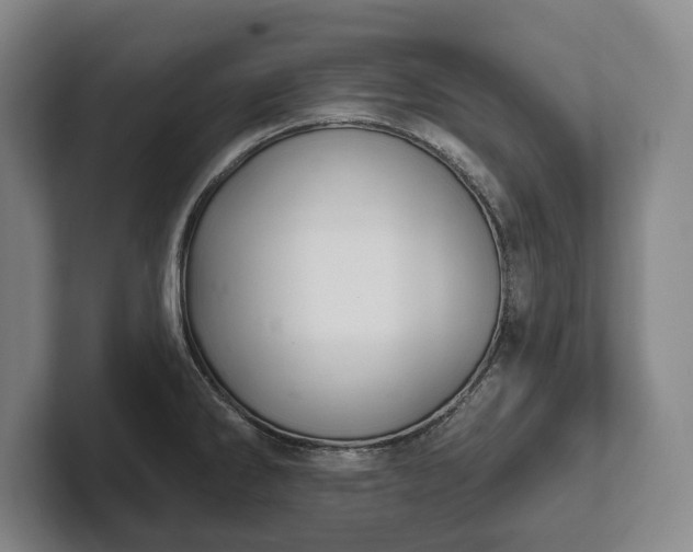 X0000102461286200808151359